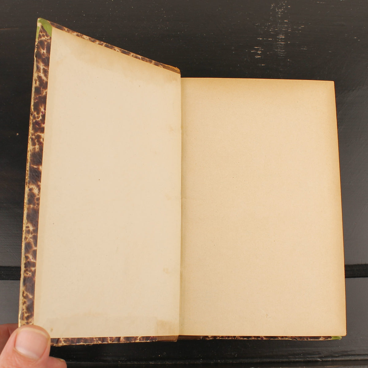 Mademoiselle Cloque - René Boylesve - Eerste Uitgave 1899 - Éditions de la Revue Blanche