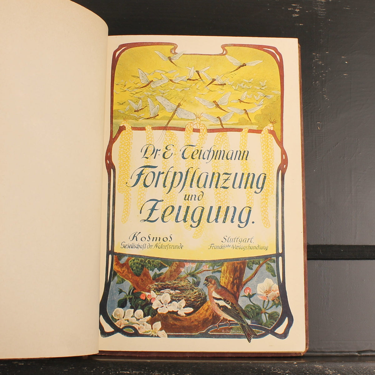 Fortpflanzung und Zeugung - Dr. Ernst Teichmann - Stuttgart 1907