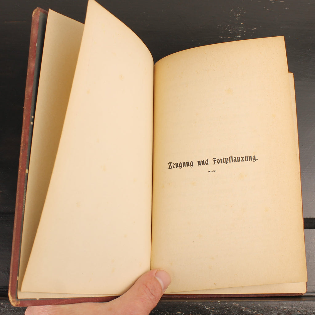 Fortpflanzung und Zeugung - Dr. Ernst Teichmann - Stuttgart 1907
