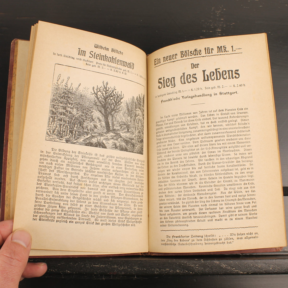 Fortpflanzung und Zeugung - Dr. Ernst Teichmann - Stuttgart 1907