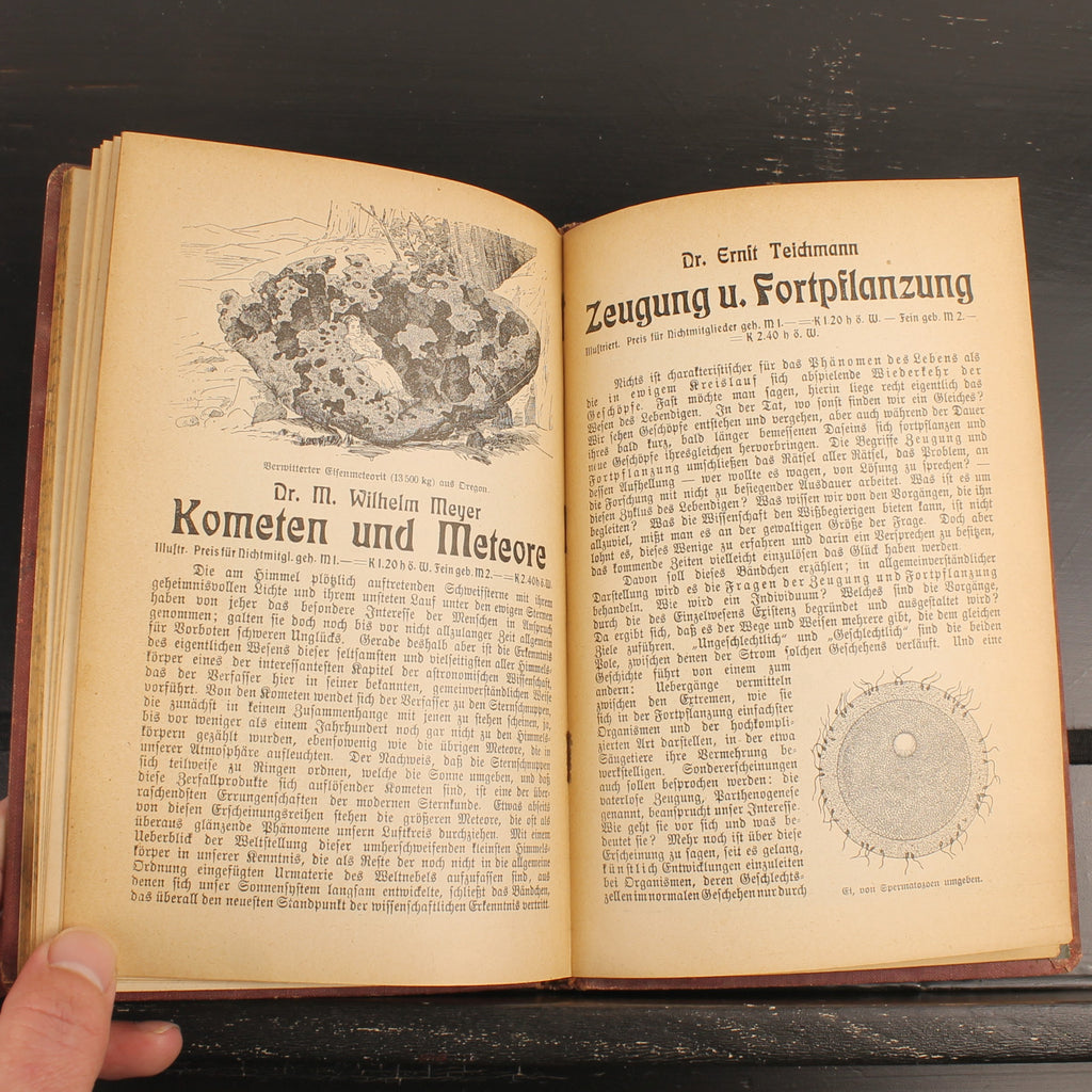 Fortpflanzung und Zeugung - Dr. Ernst Teichmann - Stuttgart 1907