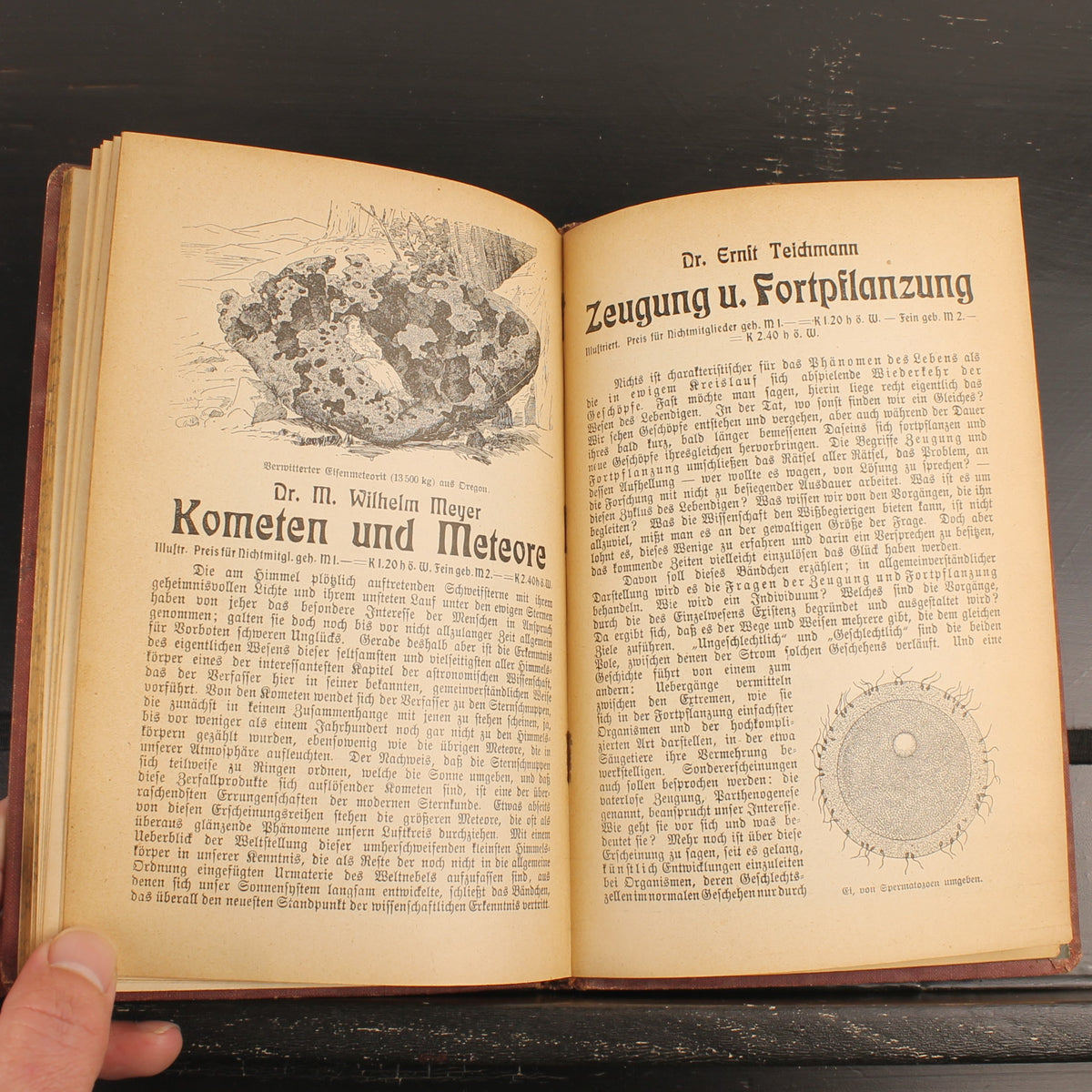 Fortpflanzung und Zeugung - Dr. Ernst Teichmann - Stuttgart 1907