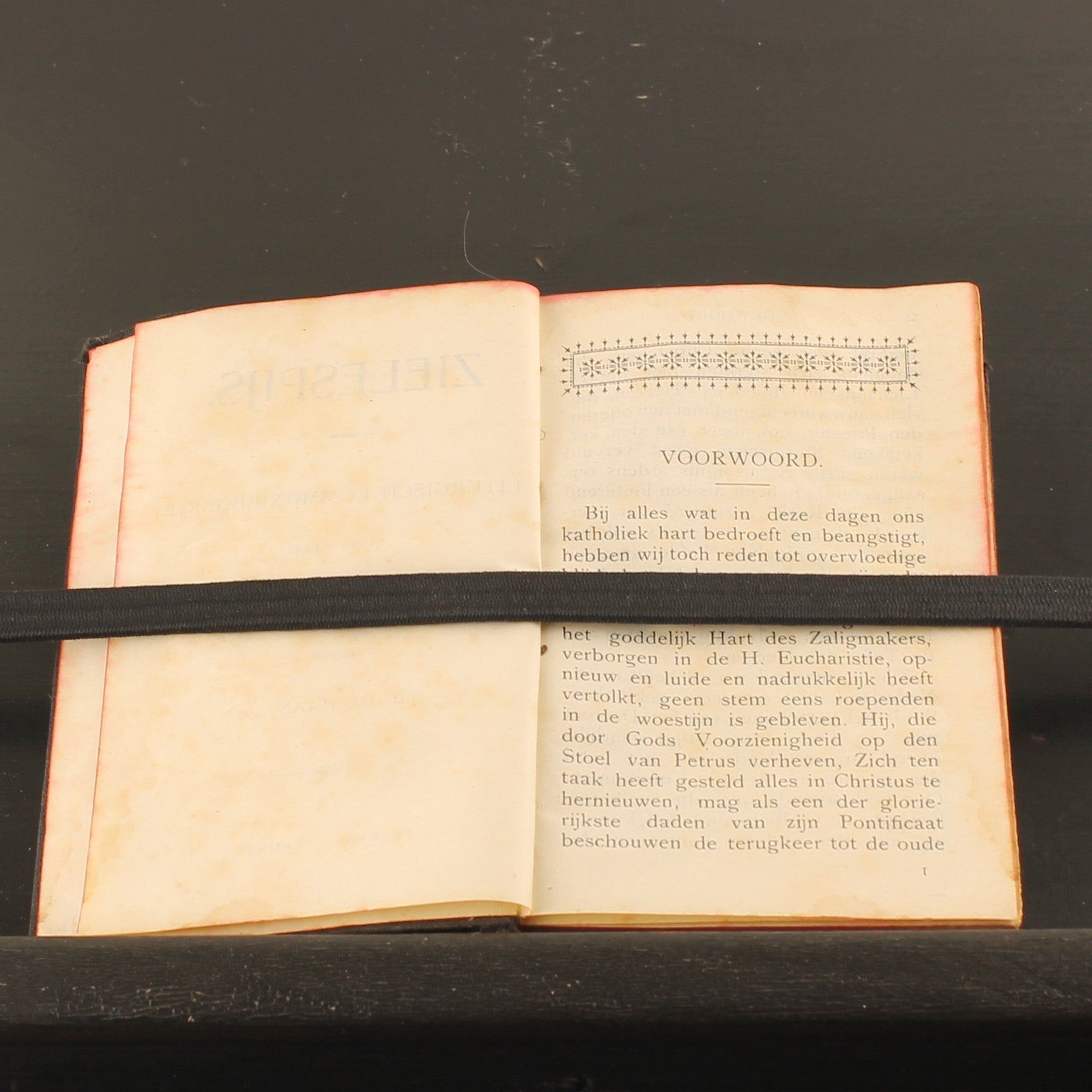 ZieleSpijs [1913] | Antique Catholic Communion Booklet | Leiden
