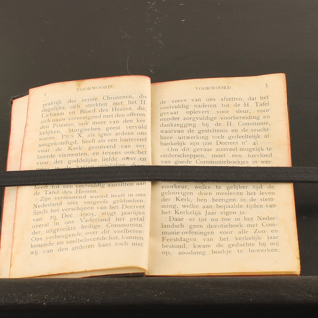 ZieleSpijs [1913] | Antique Catholic Communion Booklet | Leiden