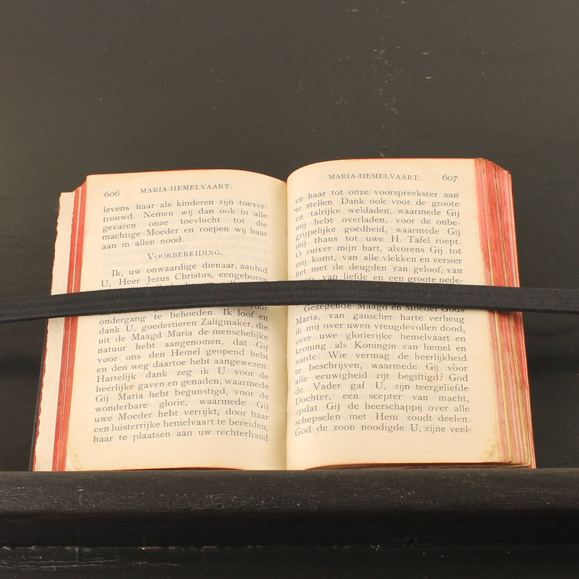 ZieleSpijs [1913] | Antique Catholic Communion Booklet | Leiden