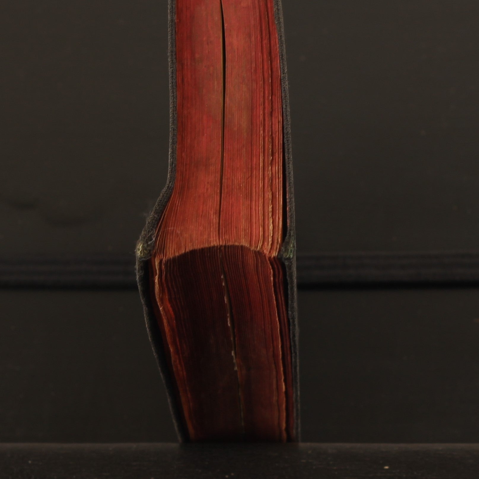 ZieleSpijs [1913] | Antique Catholic Communion Booklet | Leiden