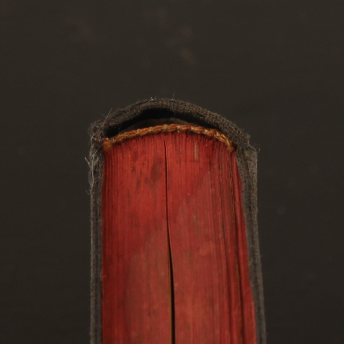 ZieleSpijs [1913] | Antique Catholic Communion Booklet | Leiden