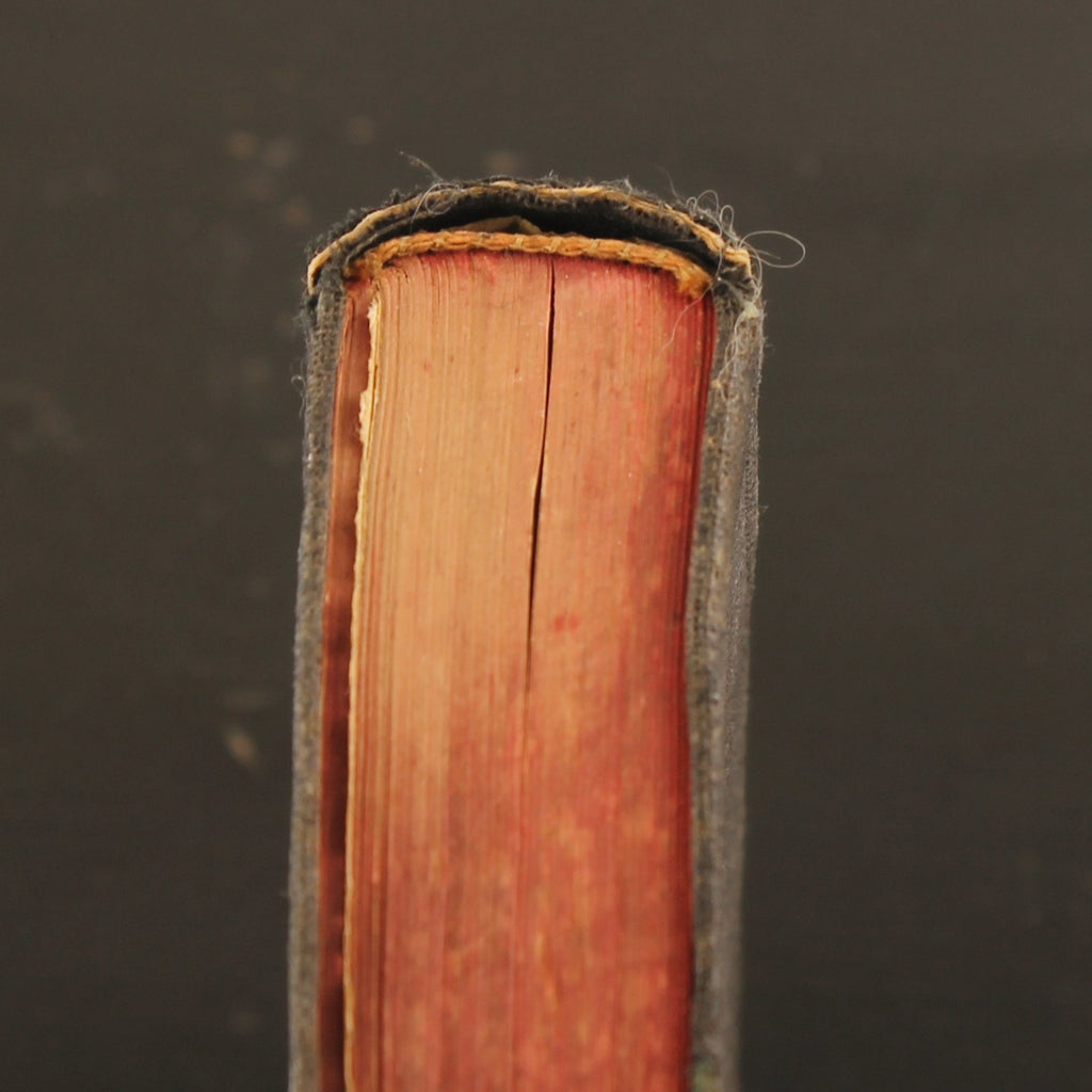 ZieleSpijs [1913] | Antique Catholic Communion Booklet | Leiden