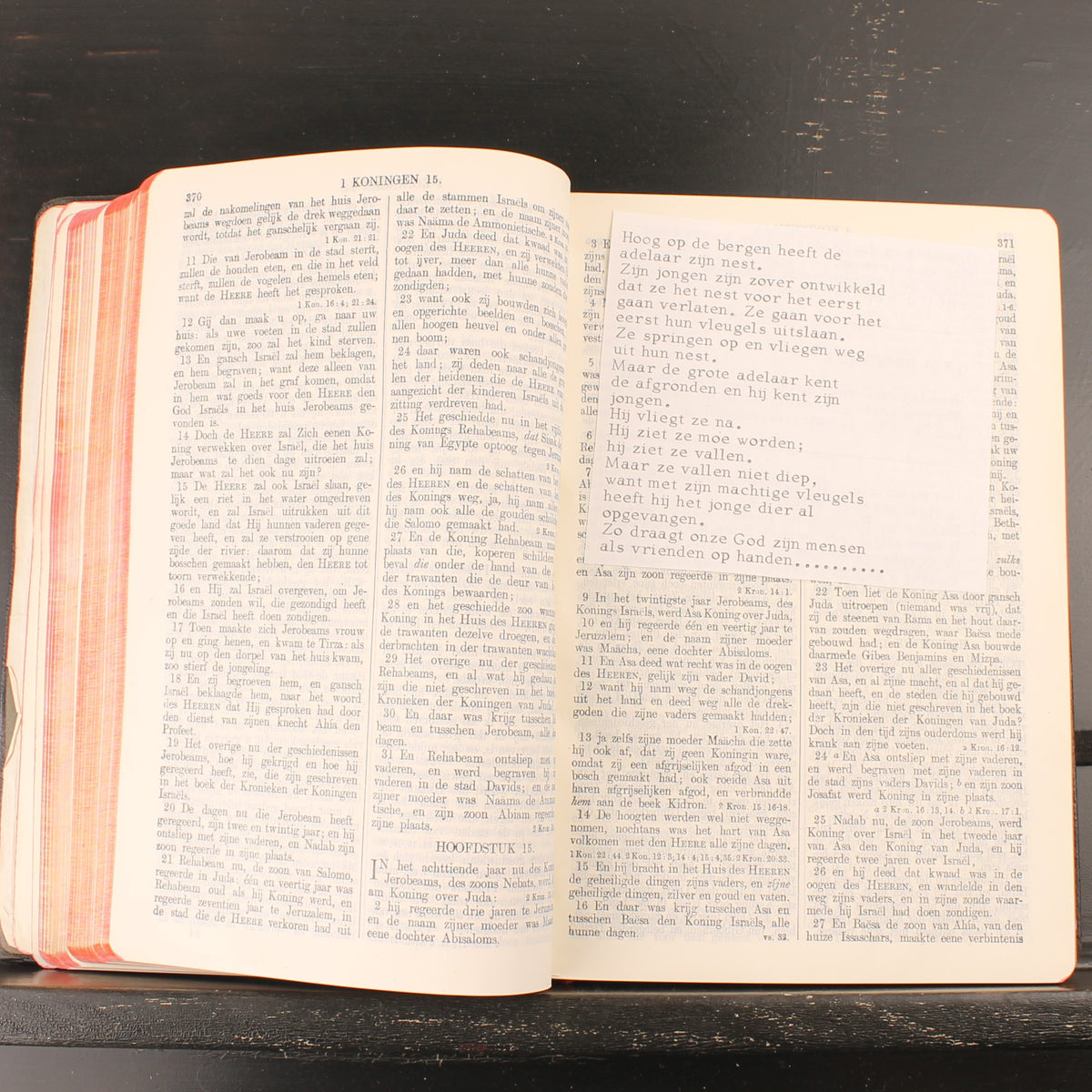 Statenbijbel 1924 - Netherlands Bible Society - Amsterdam