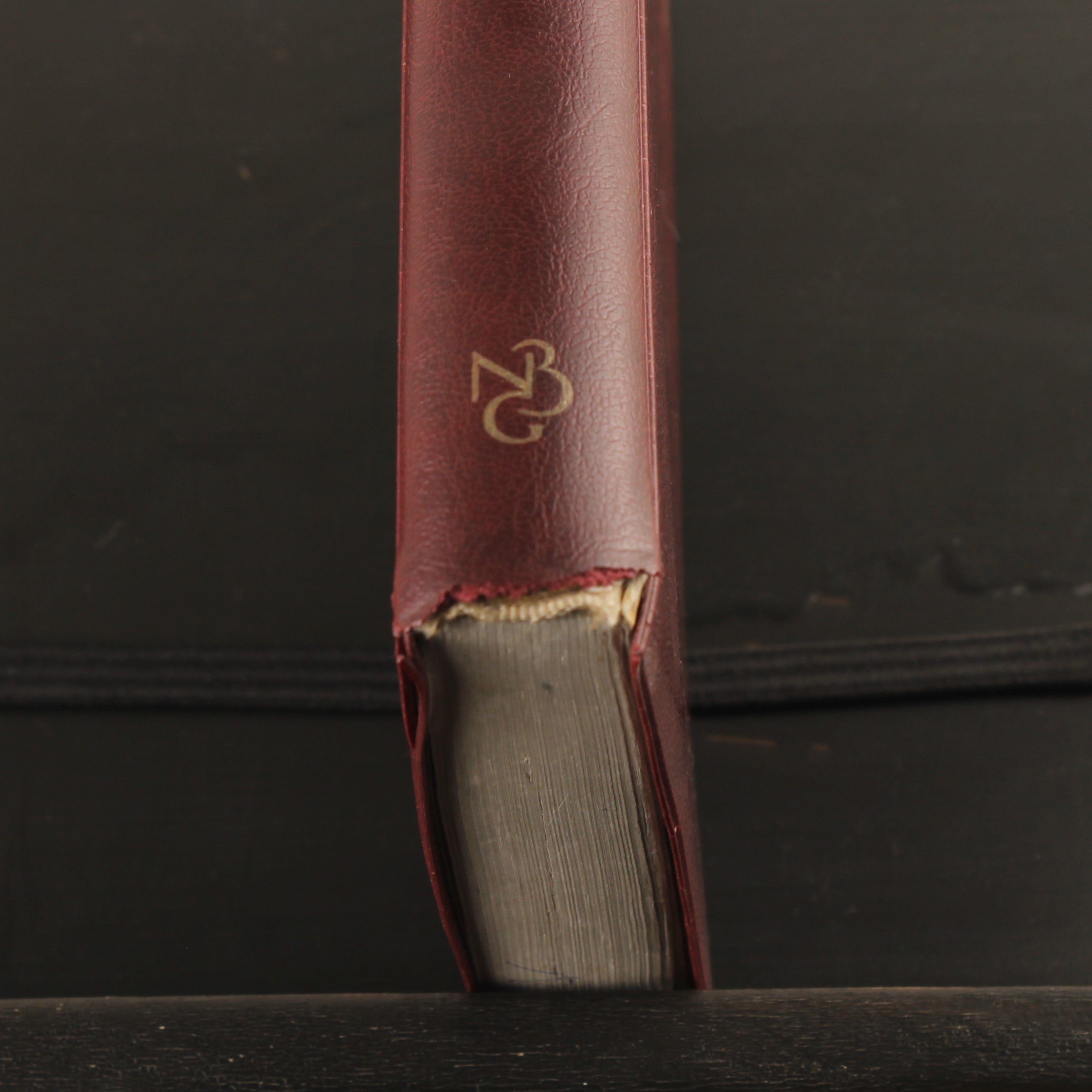 Bible [1985] | Dutch Bible Society | Old Testament | Maps