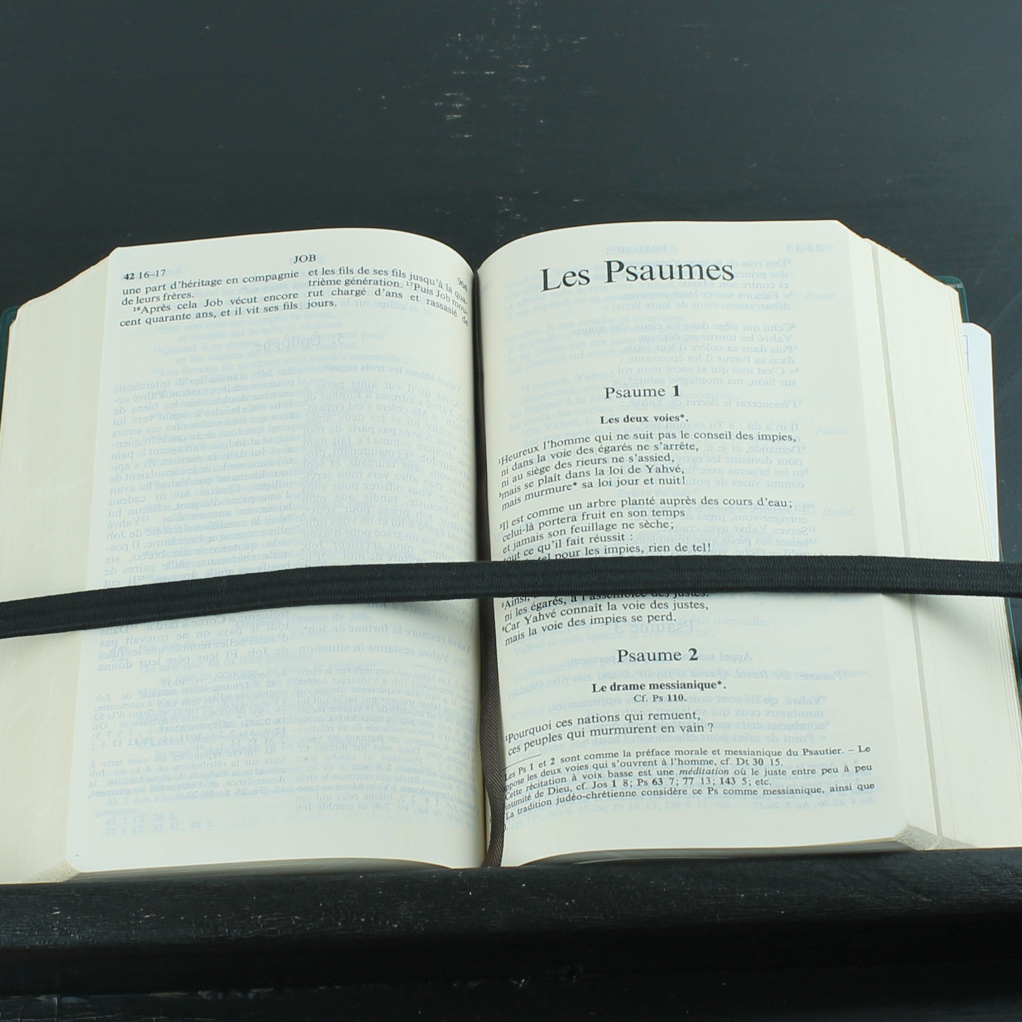 La Bible de Jérusalem (1975) – Vintage Franse Studiebijbel | Groene Band