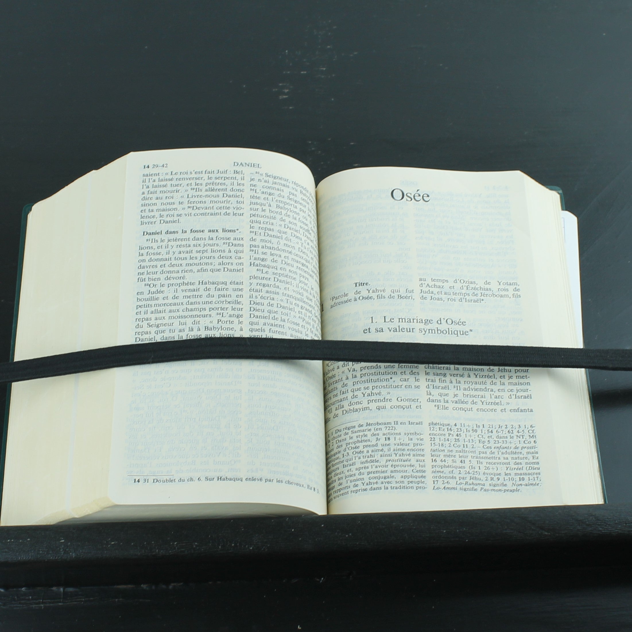 La Bible de Jérusalem (1975) – Vintage Franse Studiebijbel | Groene Band