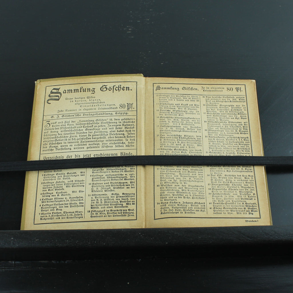 Musikgeschichte des 19. Jahrhunderts (1902) – Antieke Sammlung Göschen Uitgave