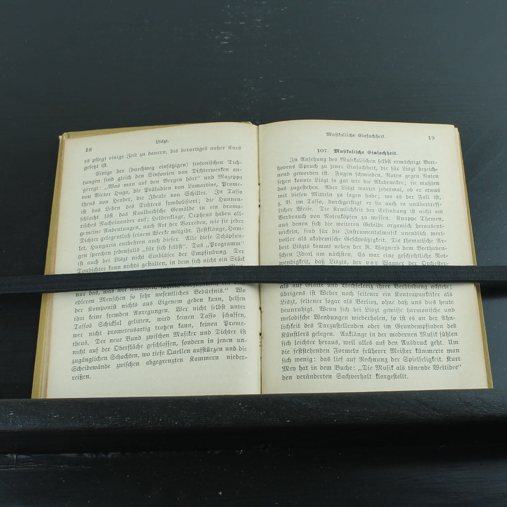 Musikgeschichte des 19. Jahrhunderts (1902) – Antieke Sammlung Göschen Uitgave