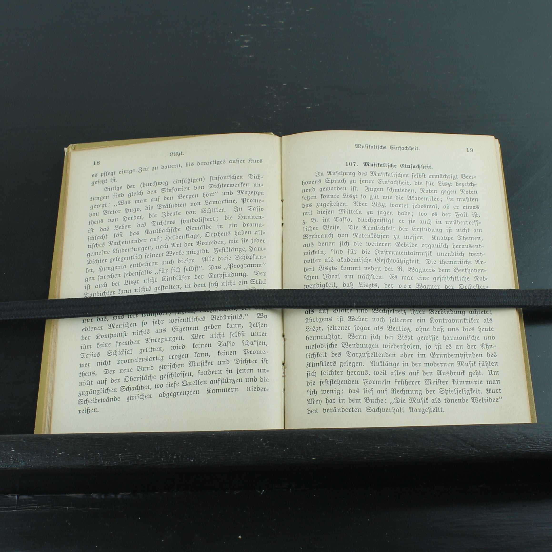 Musikgeschichte des 19. Jahrhunderts (1902) – Antieke Sammlung Göschen Uitgave