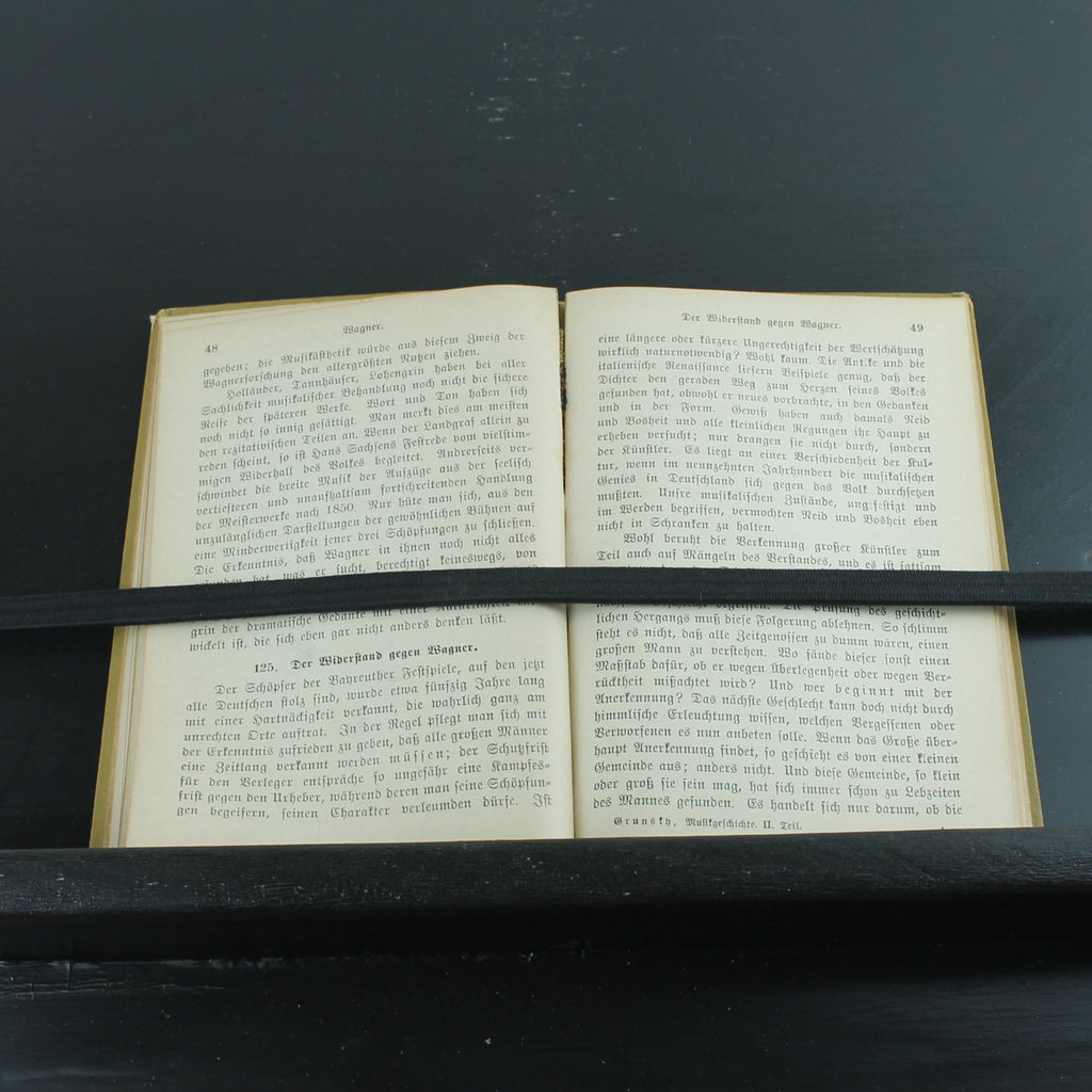 Musikgeschichte des 19. Jahrhunderts (1902) – Antieke Sammlung Göschen Uitgave