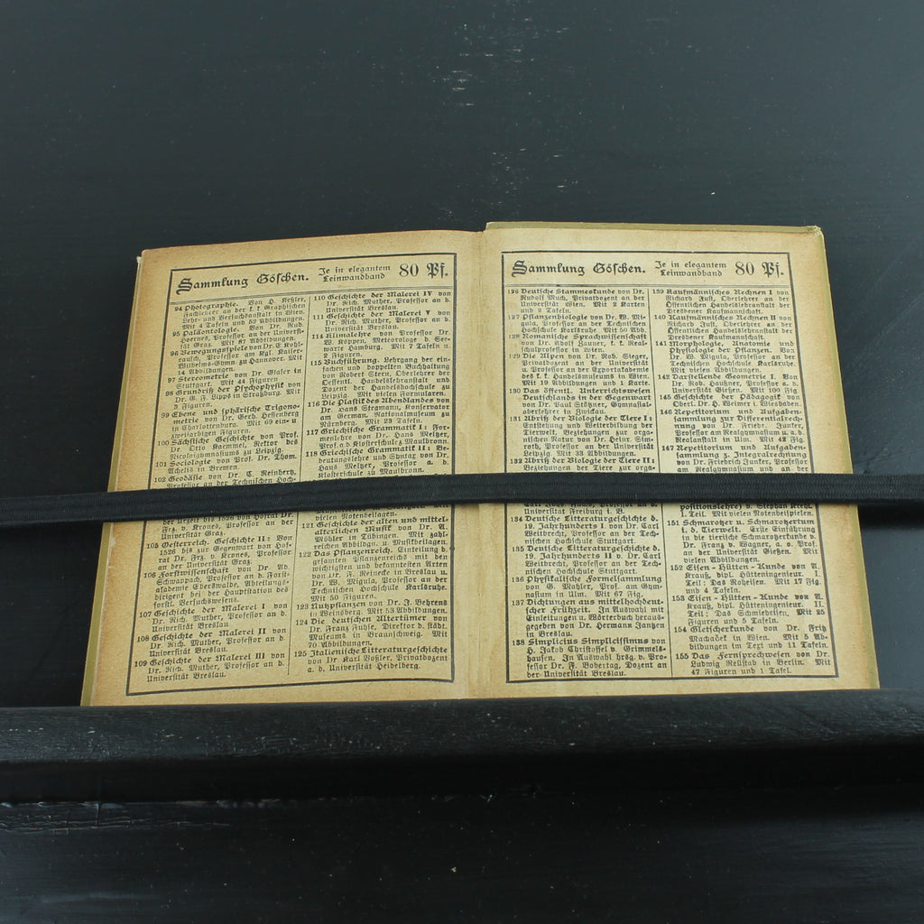 Musikgeschichte des 19. Jahrhunderts (1902) – Antieke Sammlung Göschen Uitgave