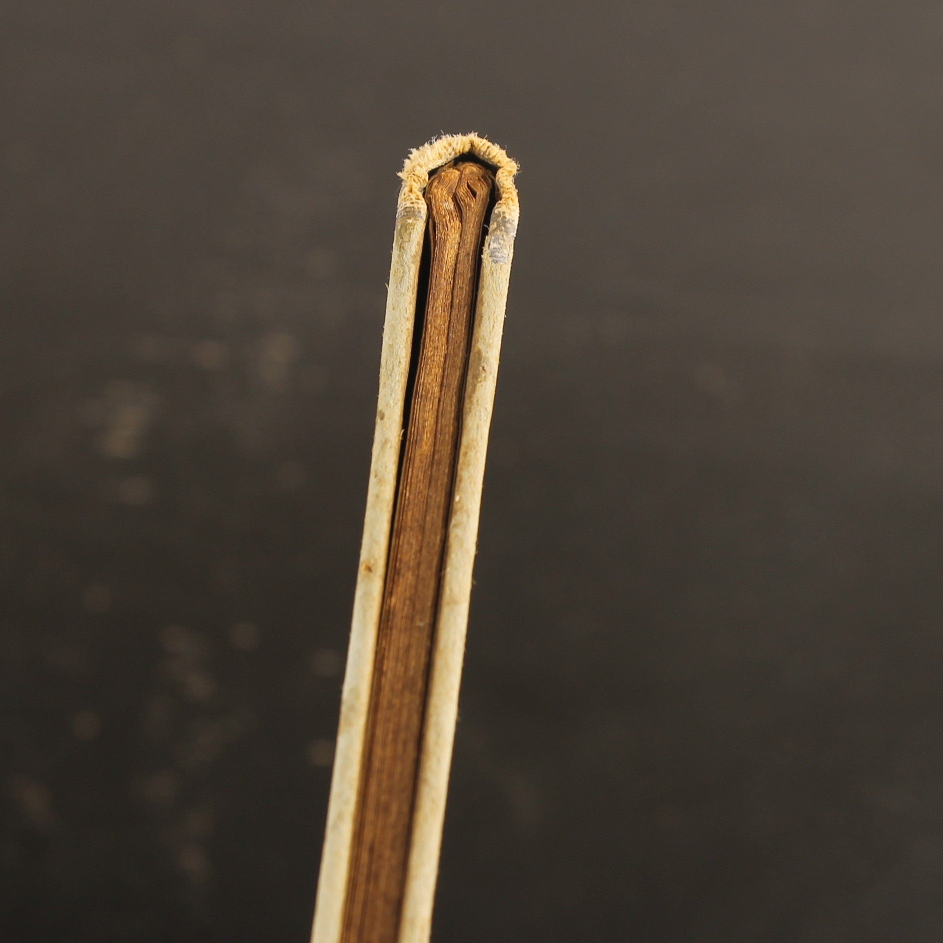 Some Verses | François Pauwels | c. 1915