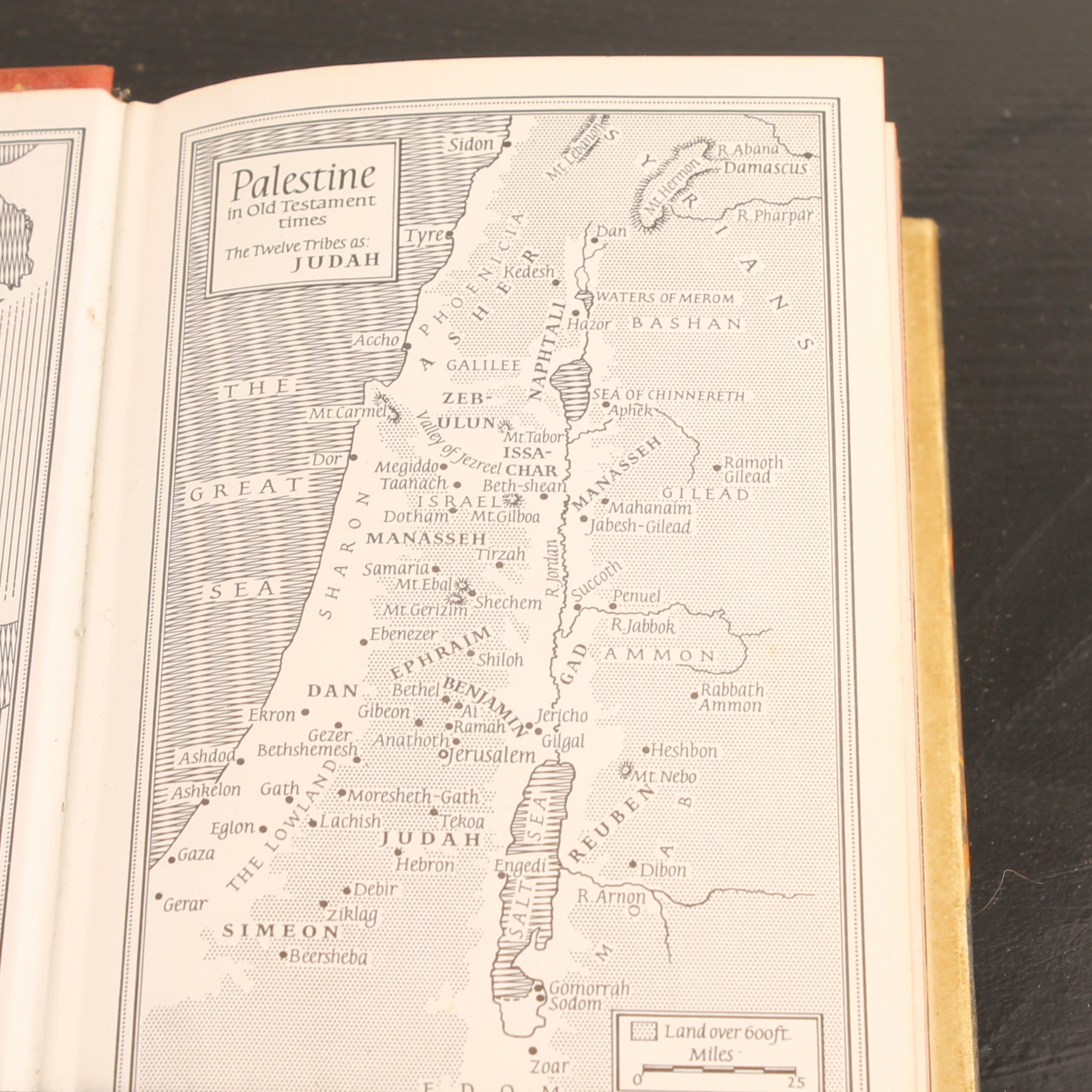 The New Oxford Illustrated Bible – King James Version – Luxury Vintage Edition with Color Illustrations (c. 1970)