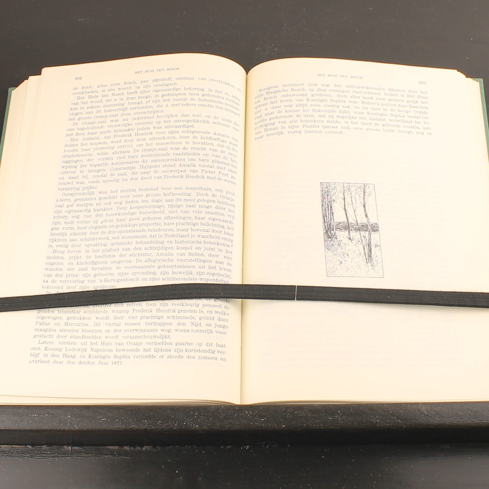 ’s-Gravenhage in Onzen Tijd – Johan Gram – 1968 Europese Bibliotheek – 80 Illustrations – Relié avec Jaquette