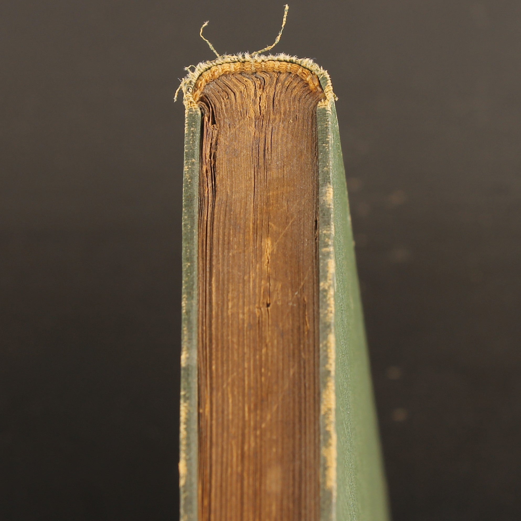 Livre ancien 1886 – Joost van den Vondel – Baumgartner – Avec dessins au crayon signés – Amsterdam