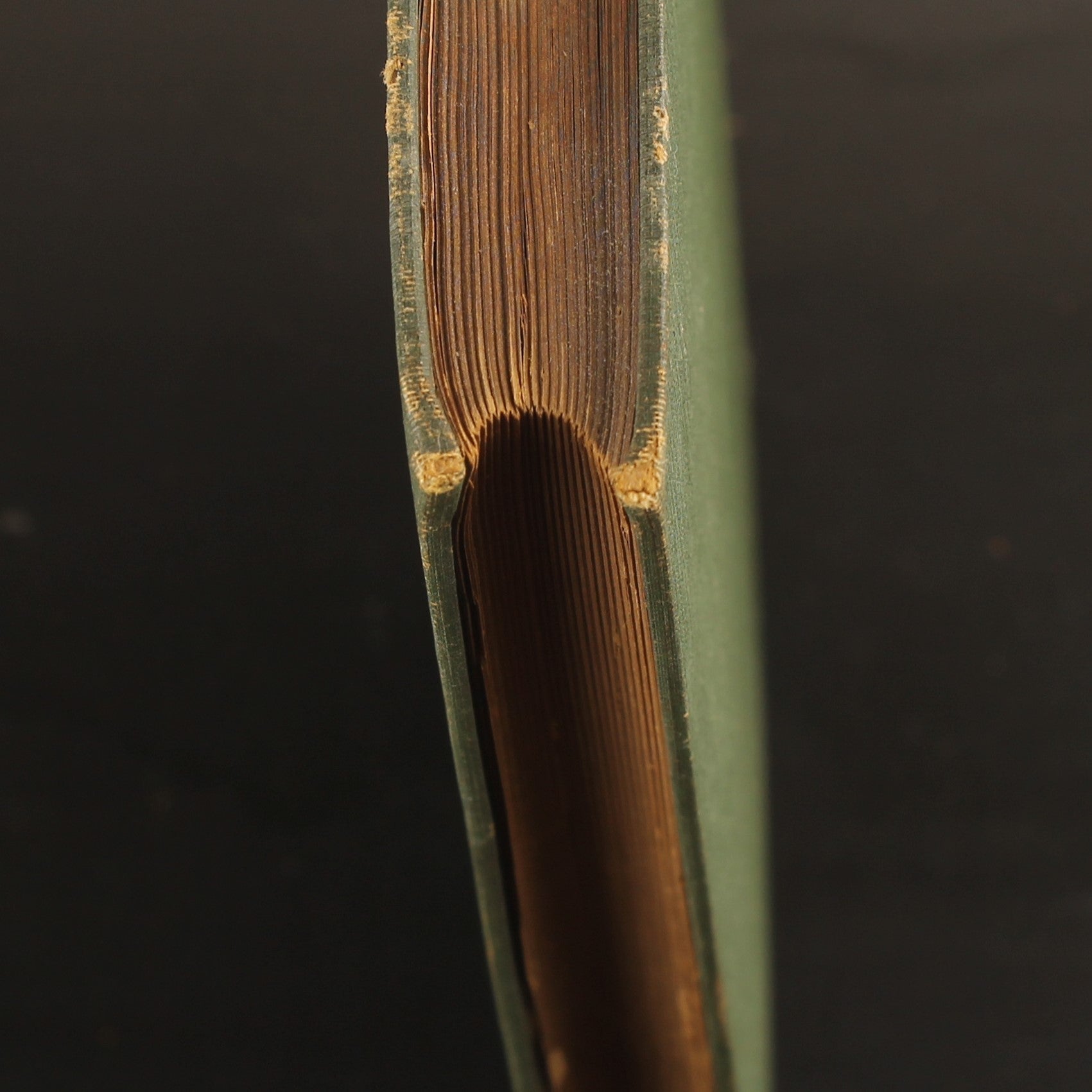 Livre ancien 1886 – Joost van den Vondel – Baumgartner – Avec dessins au crayon signés – Amsterdam