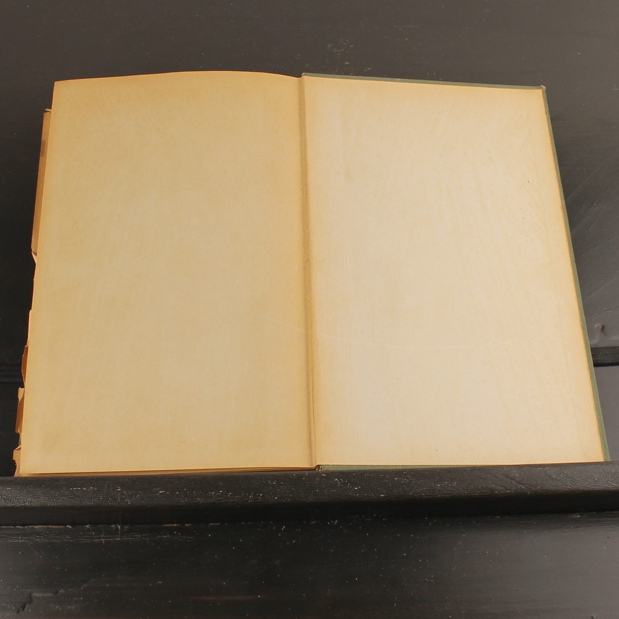 Livre ancien 1886 – Joost van den Vondel – Baumgartner – Avec dessins au crayon signés – Amsterdam