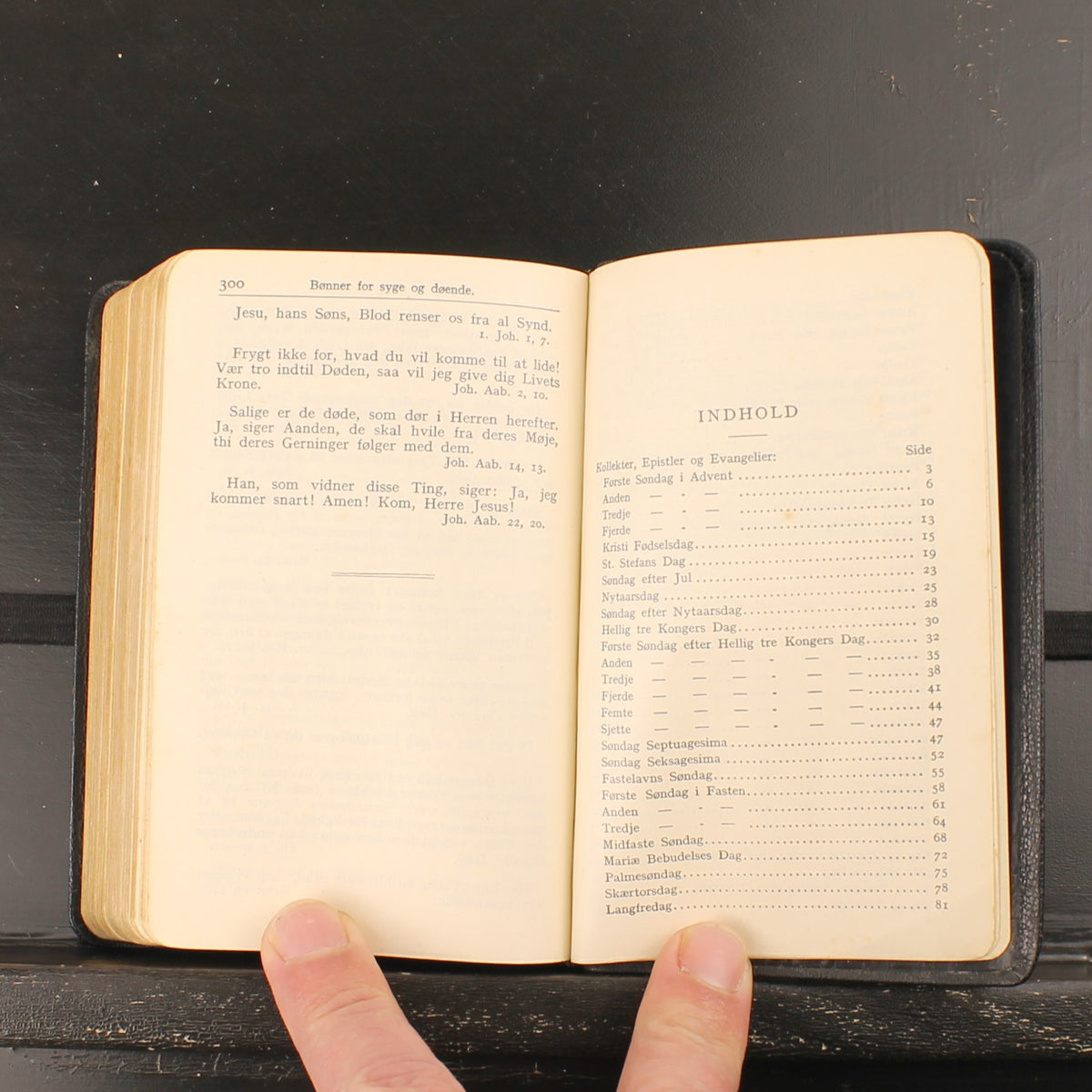 Salmebog for Kirke og Hjem - Dänisches Psalter und Kirchenbuch - Kopenhagen 1938