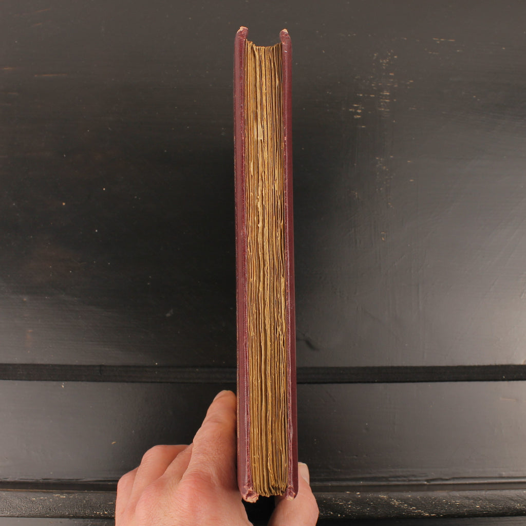 The Story of Rosina and Other Verses - Austin Dobson - Hugh Thomson - Primera Edición 1895