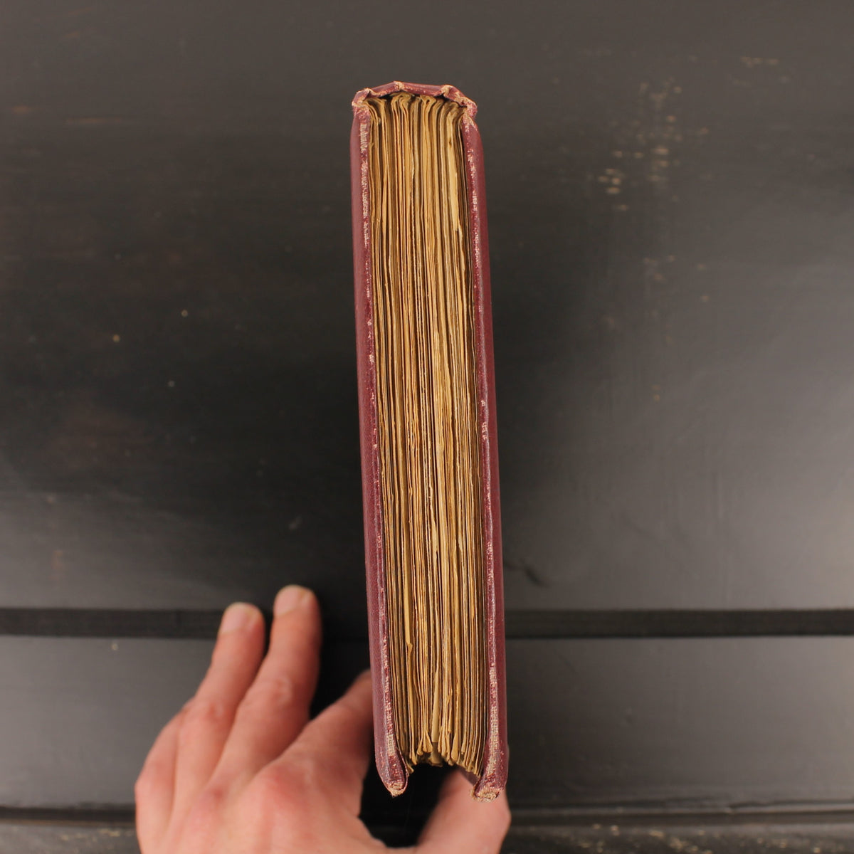 The Story of Rosina and Other Verses - Austin Dobson - Hugh Thomson - Primera Edición 1895