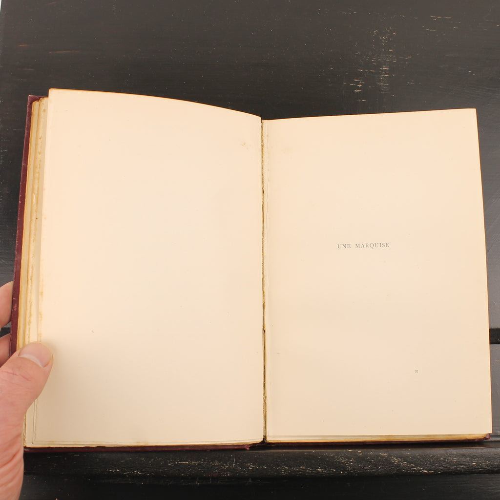 The Story of Rosina and Other Verses - Austin Dobson - Hugh Thomson - Primera Edición 1895