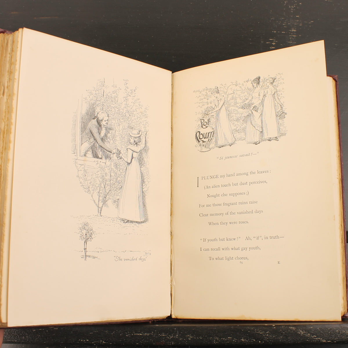 The Story of Rosina and Other Verses - Austin Dobson - Hugh Thomson - Primera Edición 1895