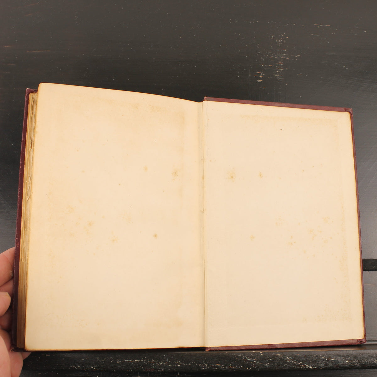 The Story of Rosina and Other Verses - Austin Dobson - Hugh Thomson - Primera Edición 1895