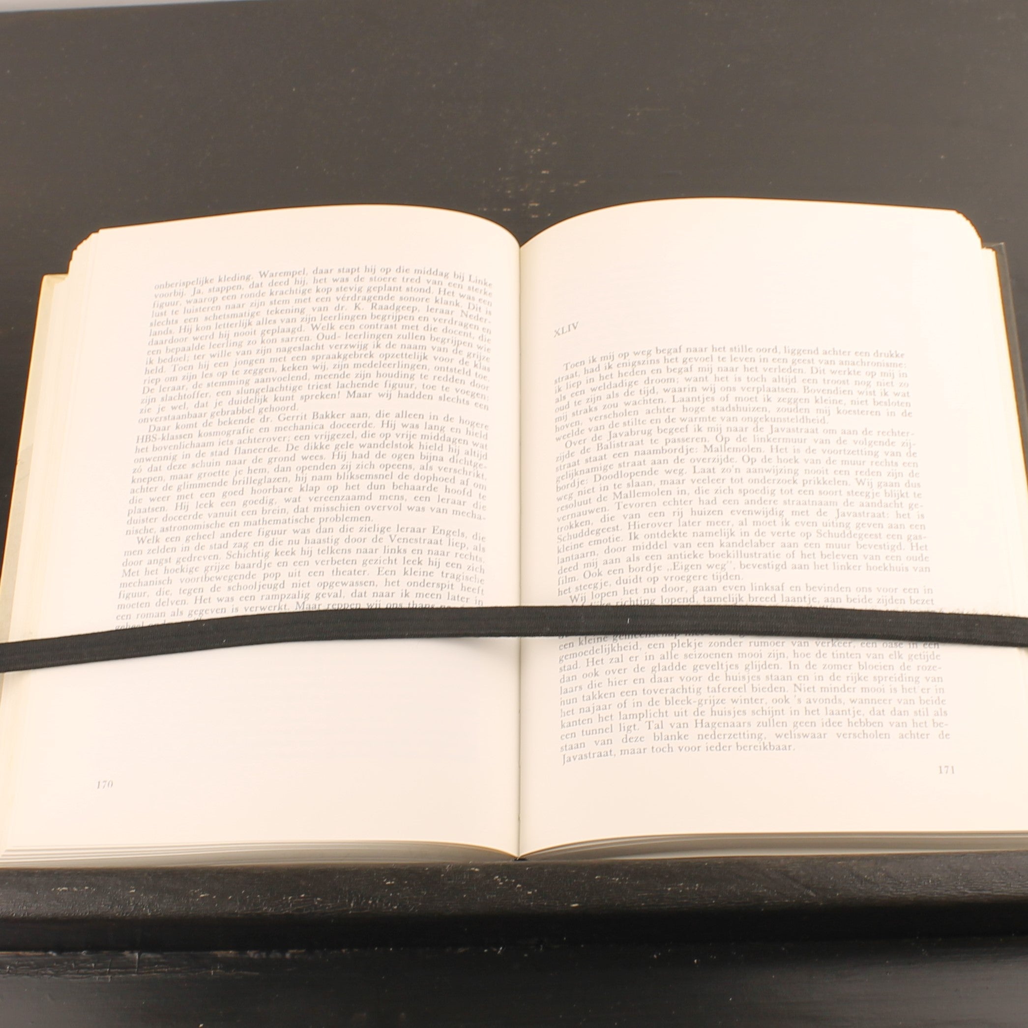 Promenades dans le vieux La Haye – Johan Schwencke – Europese Bibliotheek 1980 – Relié toilé