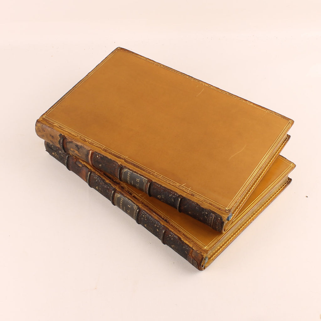 The Comic History of England (1864) – Set victorien en 2 volumes avec eaux-fortes coloriées – John Leech – Antique