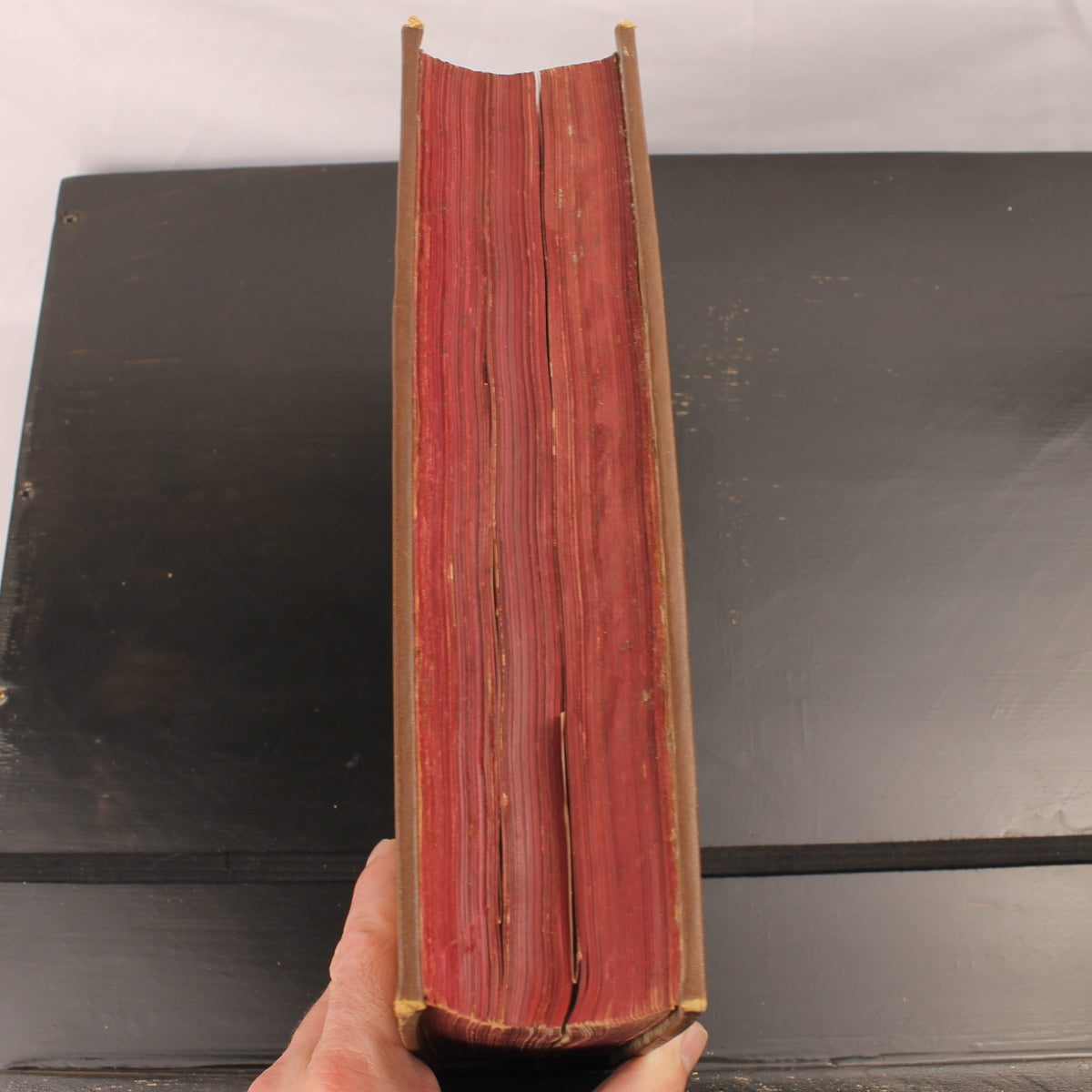 Robert Koenig - Deutsche Literaturgeschichte - Edição de Luxo com 43 Anexos - 1881