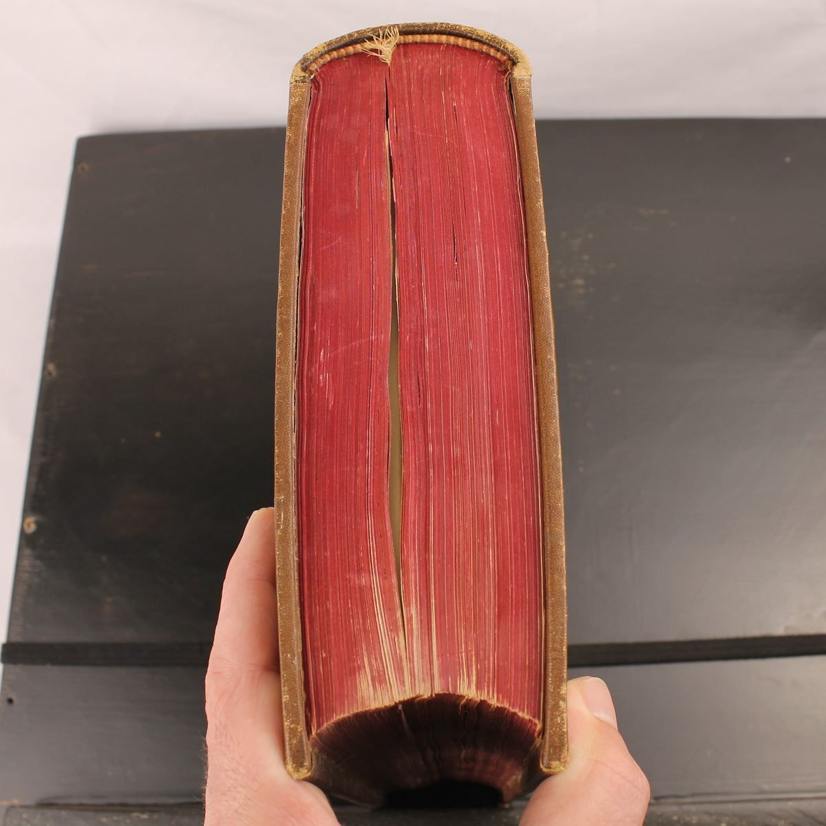 Robert Koenig - Deutsche Literaturgeschichte - Edição de Luxo com 43 Anexos - 1881