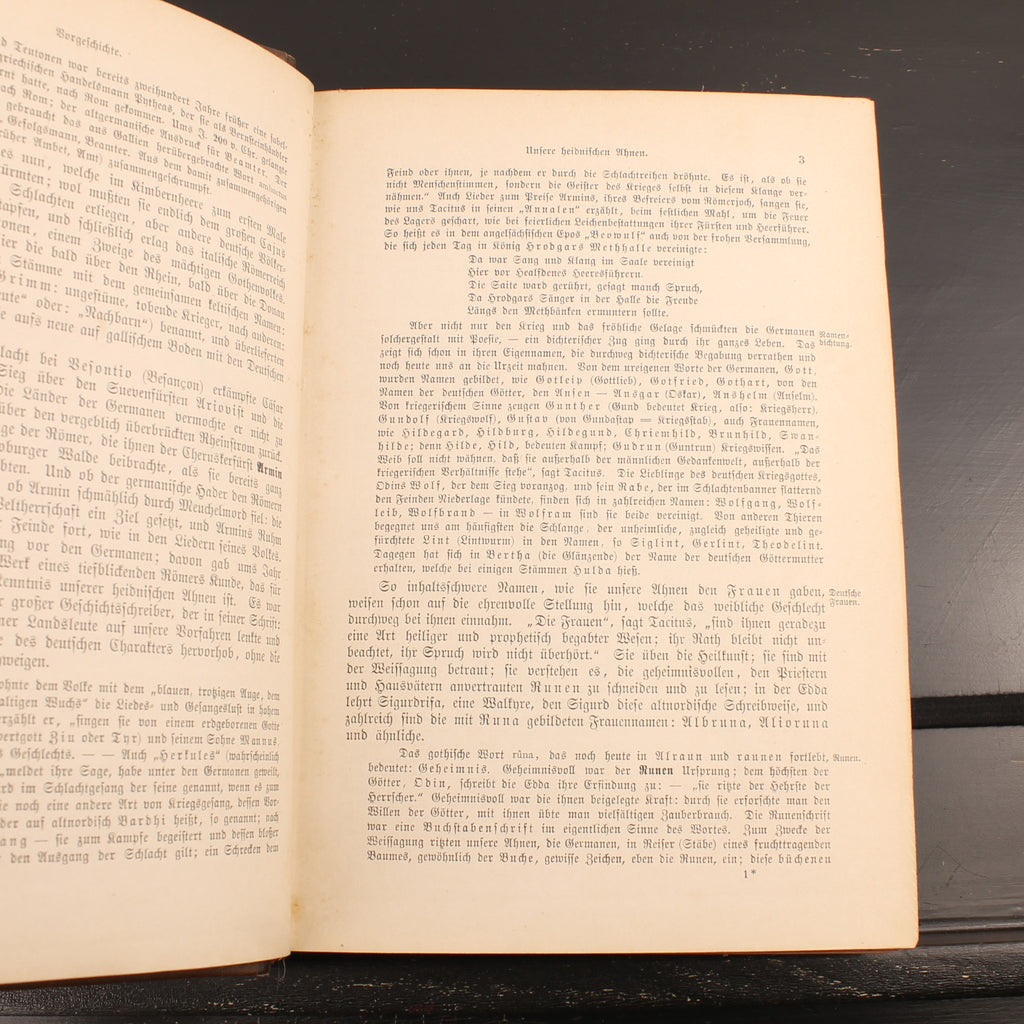Robert Koenig - Deutsche Literaturgeschichte - Edição de Luxo com 43 Anexos - 1881