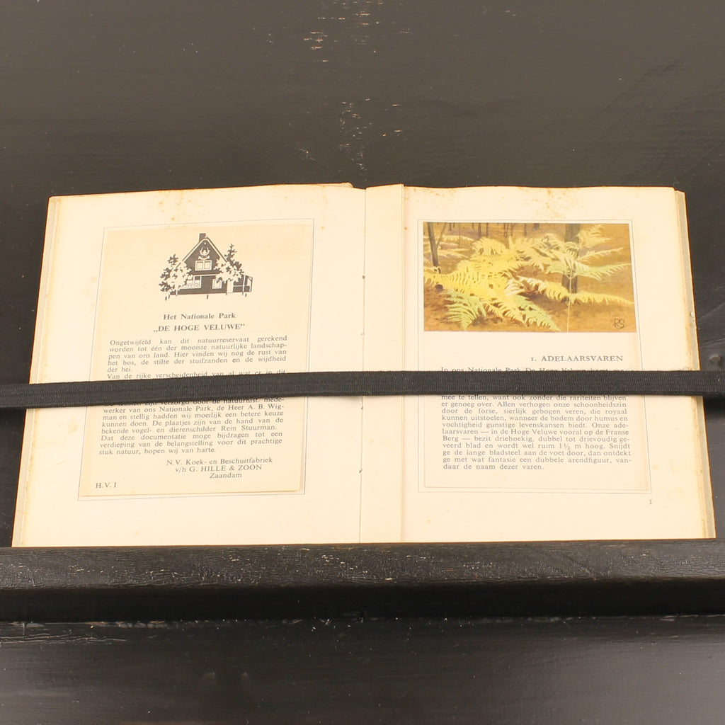 Hille Zakalbums – De Hoge Veluwe I, II & III – Albums d'épargne de l'entre-deux-guerres – Rein Stuurman – ca. années 1930