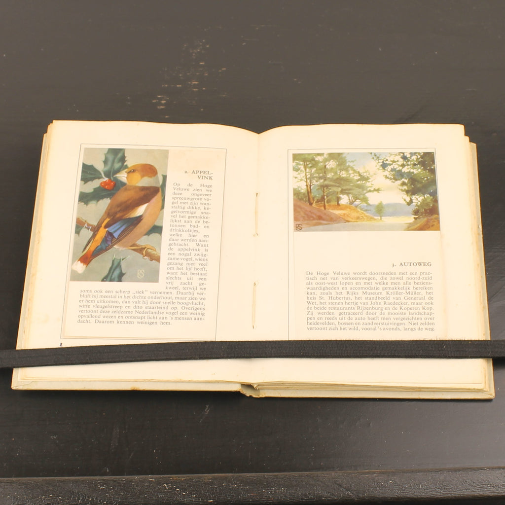 Hille Zakalbums – De Hoge Veluwe I, II & III – Albums d'épargne de l'entre-deux-guerres – Rein Stuurman – ca. années 1930