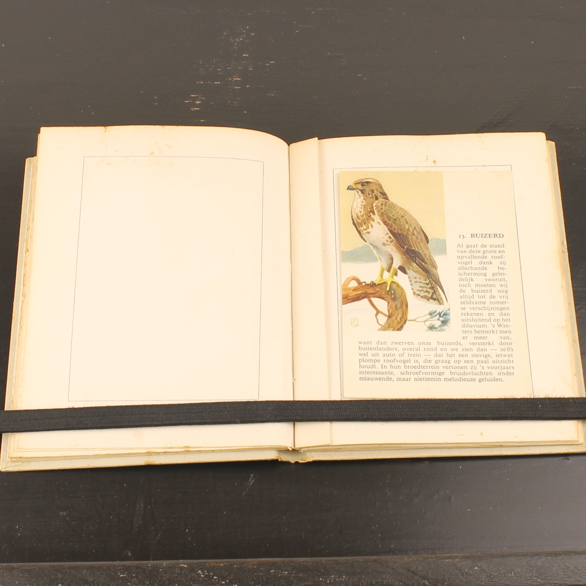 Hille Zakalbums – De Hoge Veluwe I, II & III – Albums d'épargne de l'entre-deux-guerres – Rein Stuurman – ca. années 1930