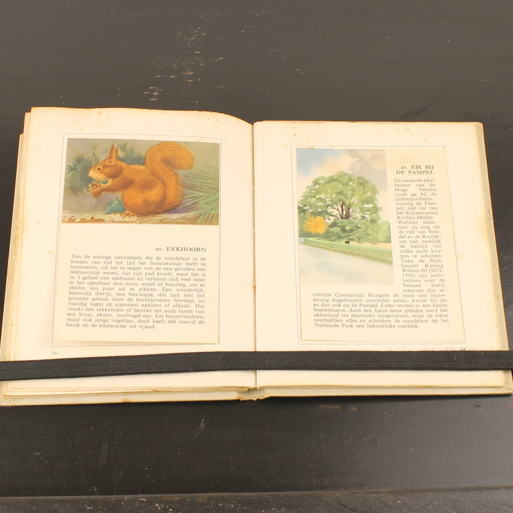 Hille Zakalbums – De Hoge Veluwe I, II & III – Albums d'épargne de l'entre-deux-guerres – Rein Stuurman – ca. années 1930