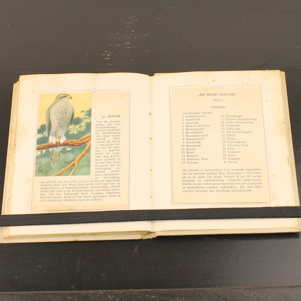 Hille Zakalbums – De Hoge Veluwe I, II & III – Albums d'épargne de l'entre-deux-guerres – Rein Stuurman – ca. années 1930