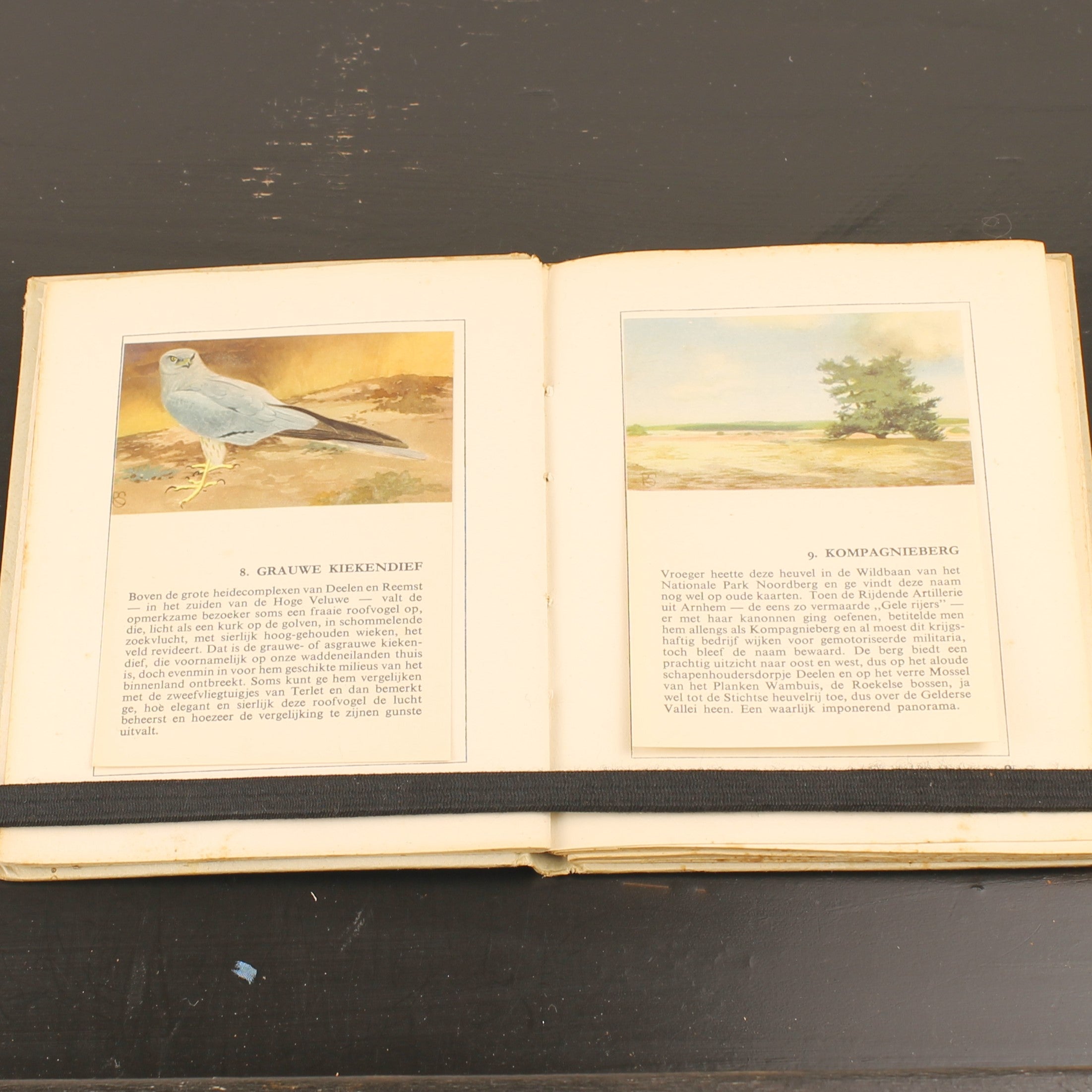 Hille Zakalbums – De Hoge Veluwe I, II & III – Albums d'épargne de l'entre-deux-guerres – Rein Stuurman – ca. années 1930