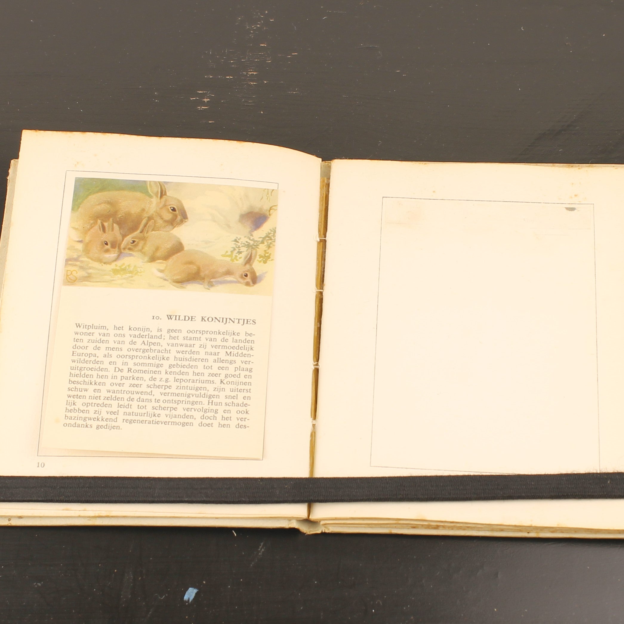 Hille Zakalbums – De Hoge Veluwe I, II & III – Albums d'épargne de l'entre-deux-guerres – Rein Stuurman – ca. années 1930