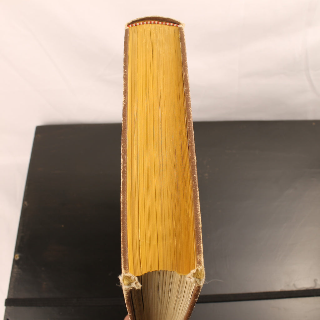 I Grandi Riformatori - Pieter Vergers - D. Bolle, Rotterdam ca. 1894
