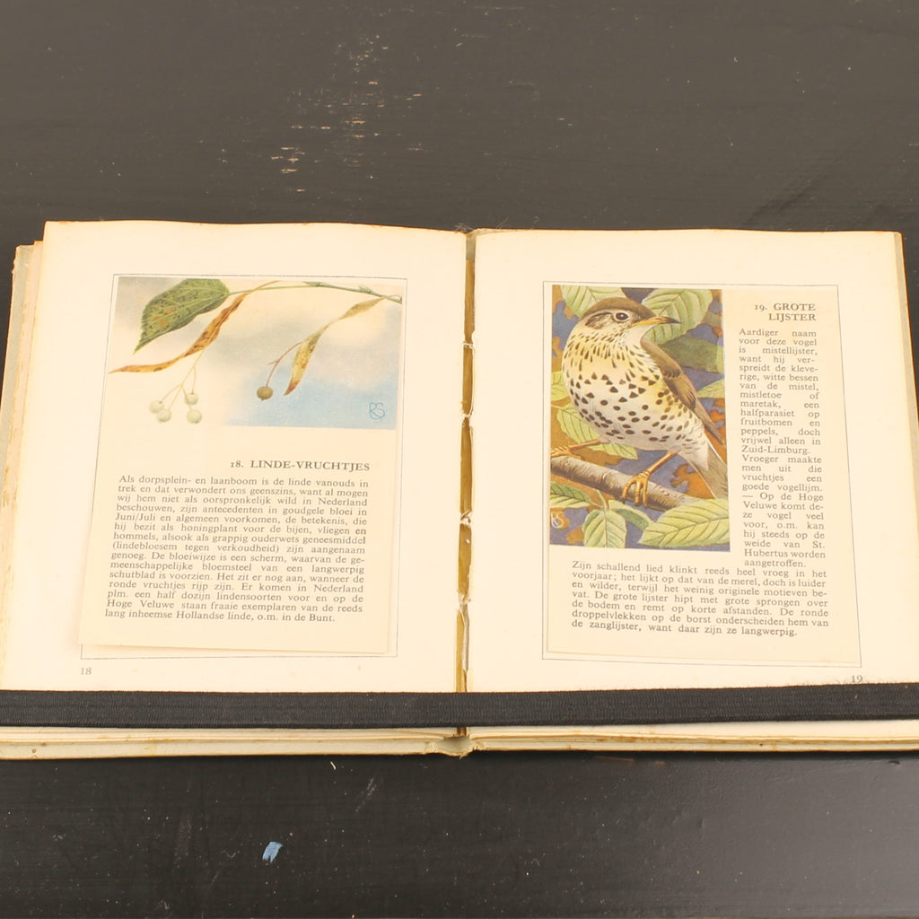 Hille Zakalbums – De Hoge Veluwe I, II & III – Albums d'épargne de l'entre-deux-guerres – Rein Stuurman – ca. années 1930