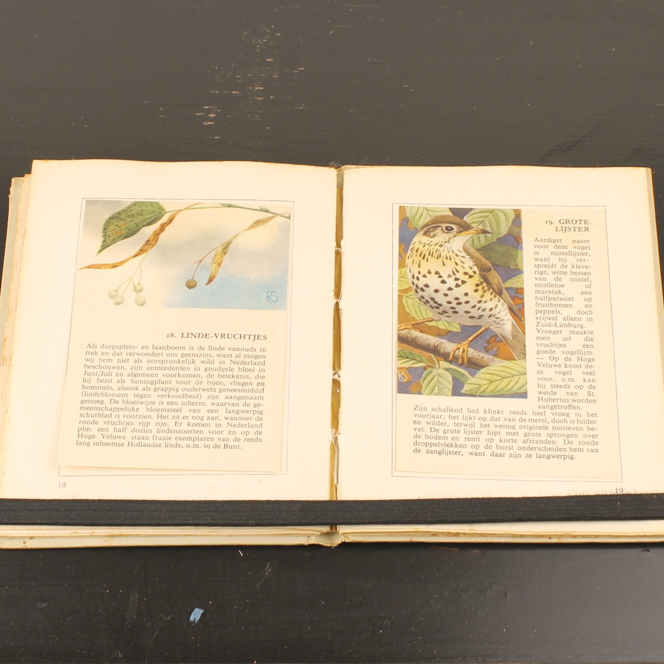 Hille Zakalbums – De Hoge Veluwe I, II & III – Albums d'épargne de l'entre-deux-guerres – Rein Stuurman – ca. années 1930