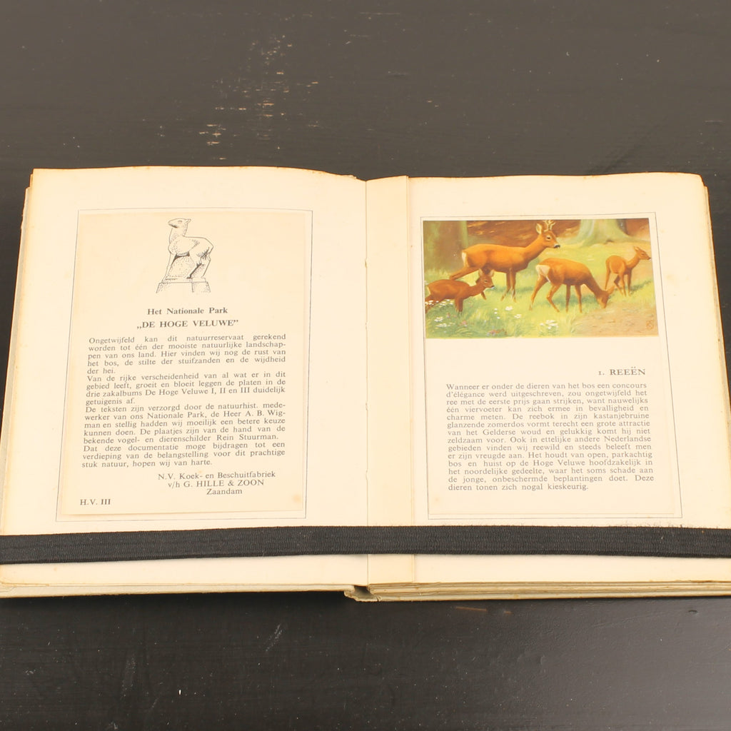 Hille Zakalbums – De Hoge Veluwe I, II & III – Albums d'épargne de l'entre-deux-guerres – Rein Stuurman – ca. années 1930