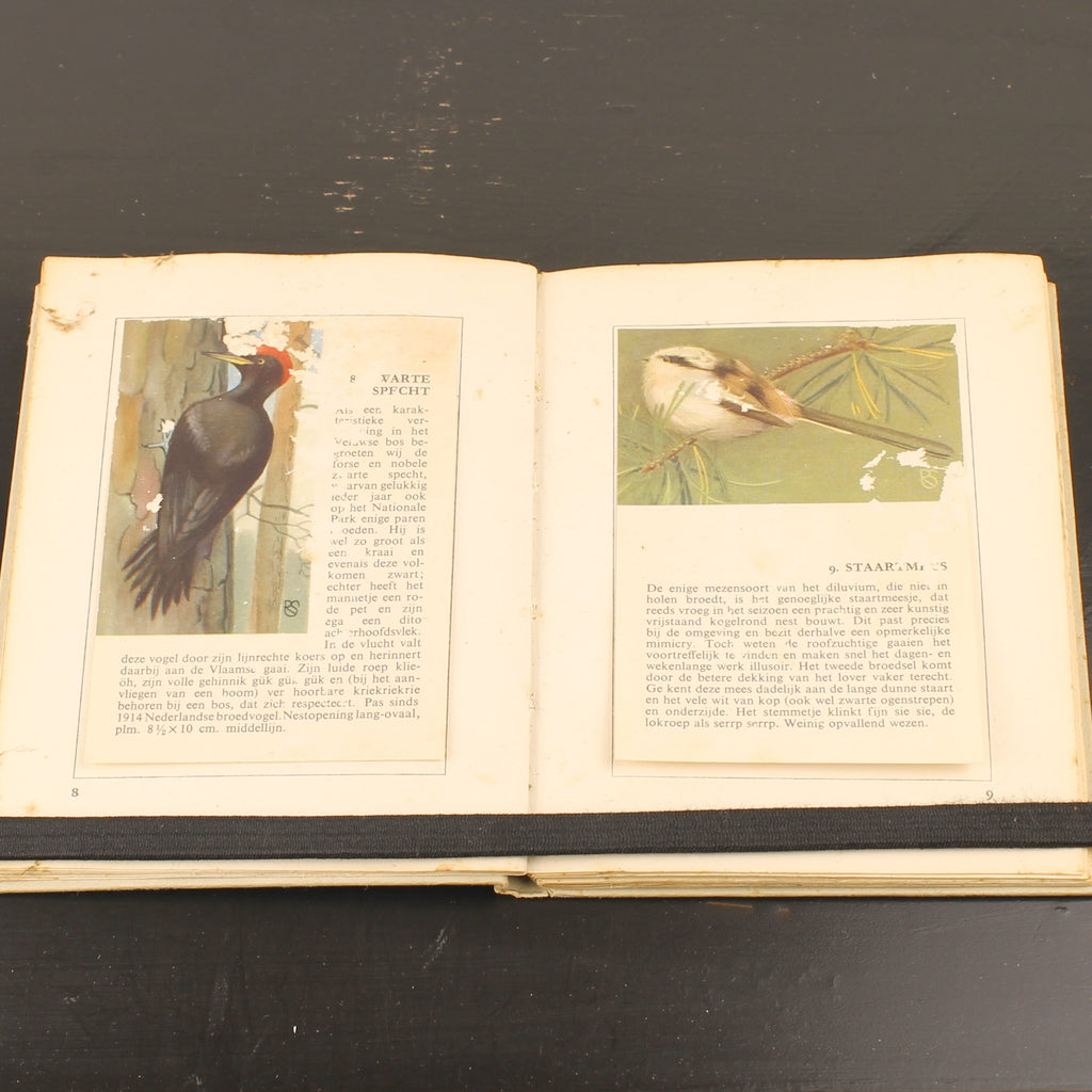 Hille Zakalbums – De Hoge Veluwe I, II & III – Albums d'épargne de l'entre-deux-guerres – Rein Stuurman – ca. années 1930